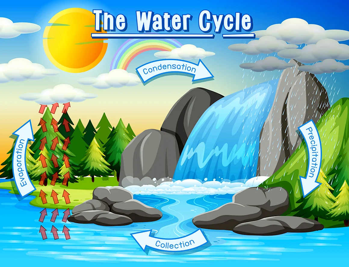 Water Cycle Clipart