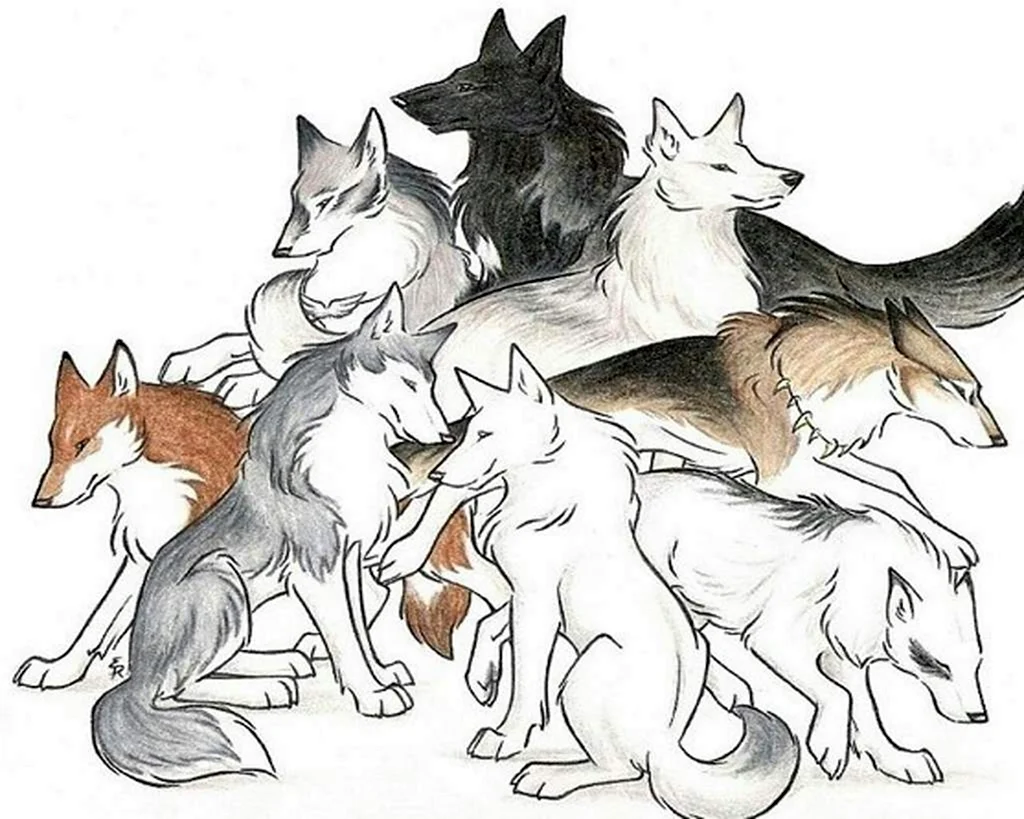 WILDSPIRITWOLF волки
