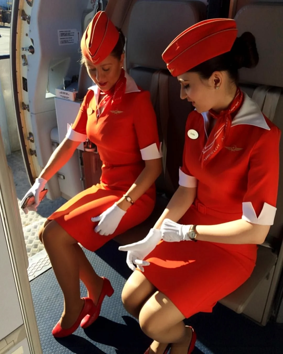 Windrose Airlines стюардессы
