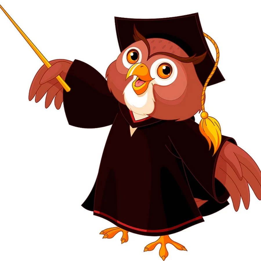 Wise Owl мудрая Сова