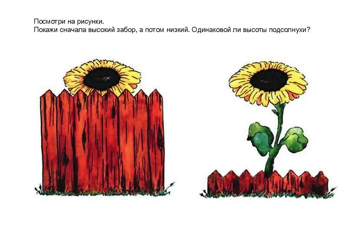 Заборчик высокий и низкий