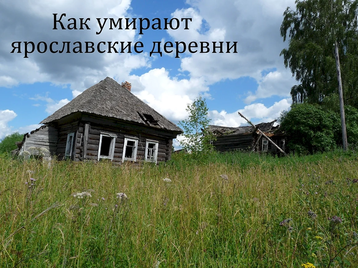 Заброшеные деревни Маловишерского района Новг обл