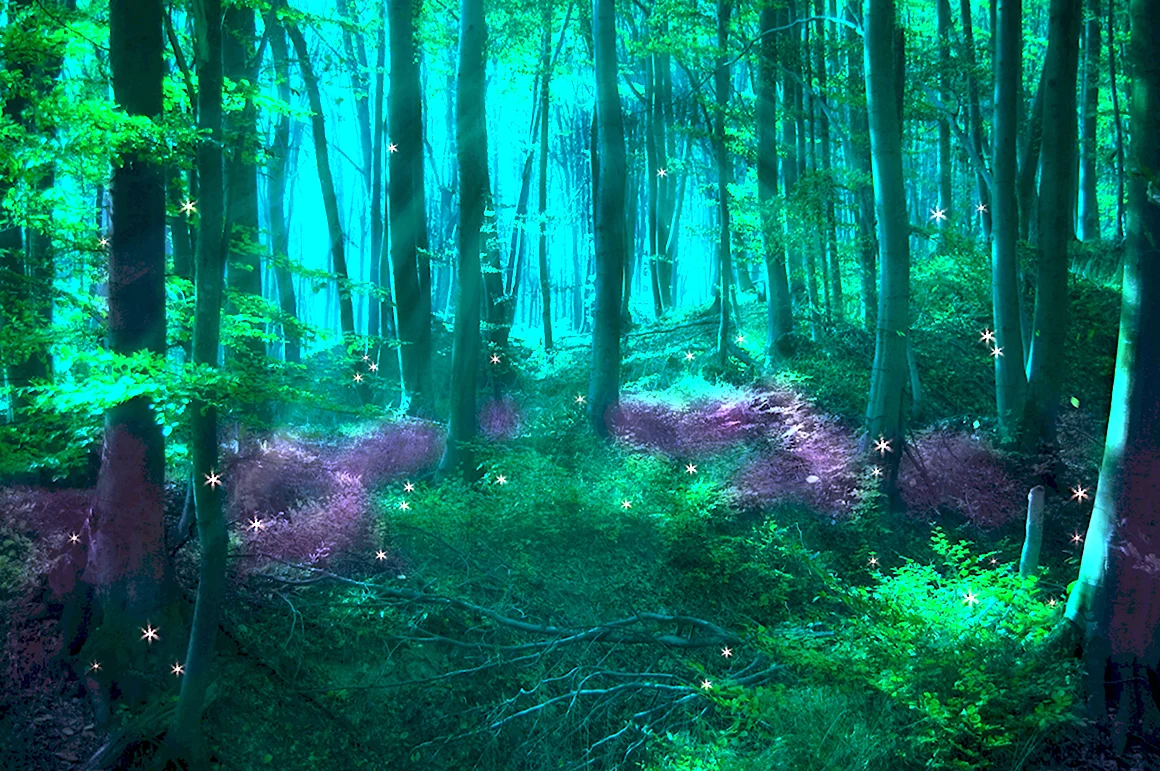 «Зачарованный лес» «Enchanted Forest»