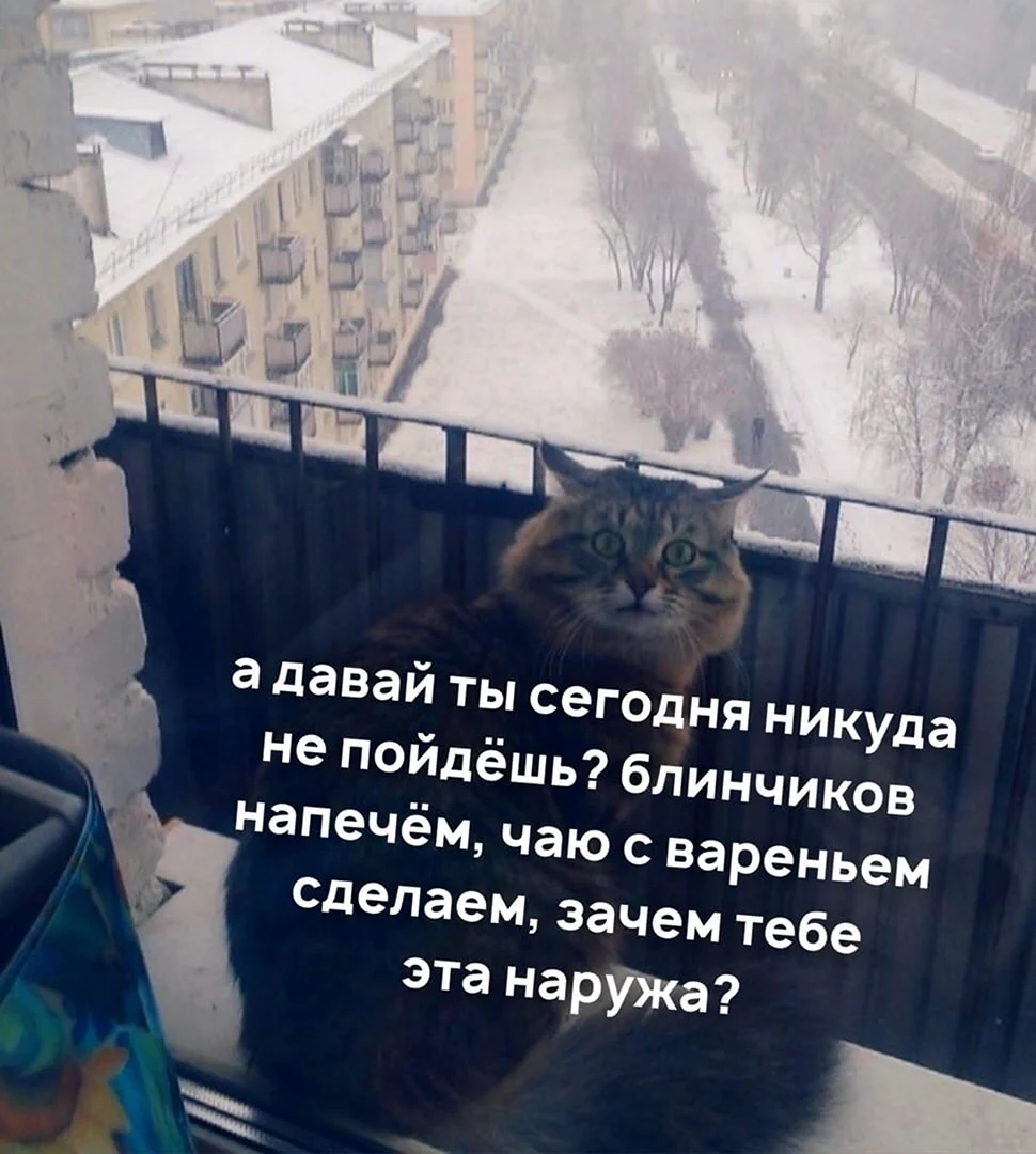 Зачем тебе эта наружа картинки