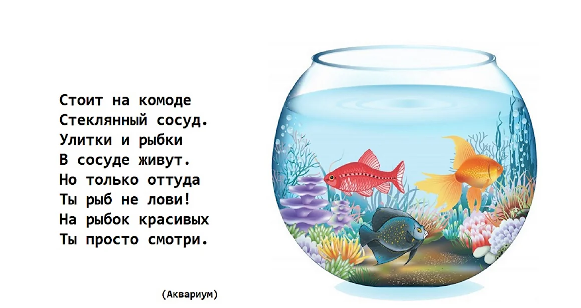 Загадка про аквариум