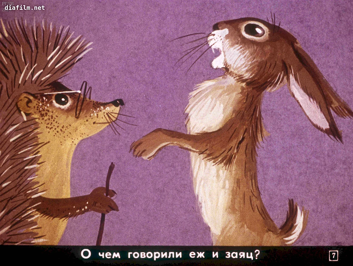 Заяц и еж