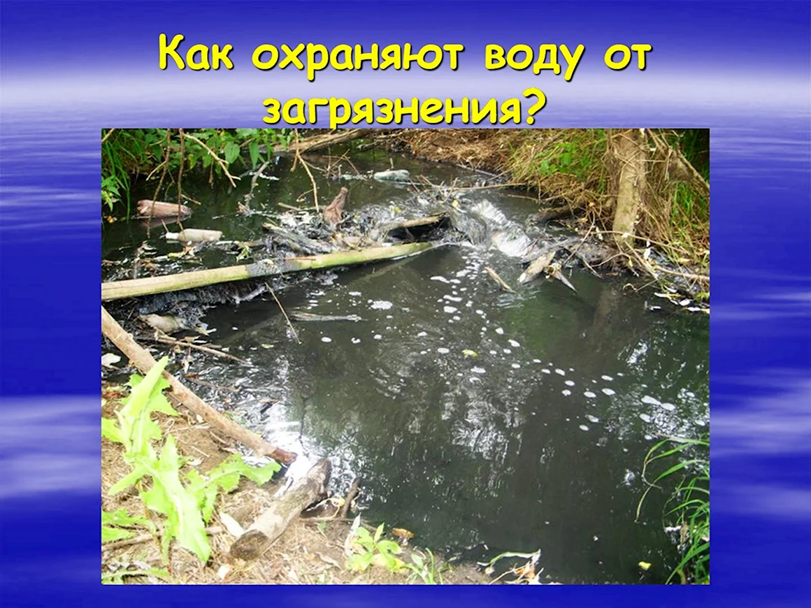 Защита водоемов от загрязнения