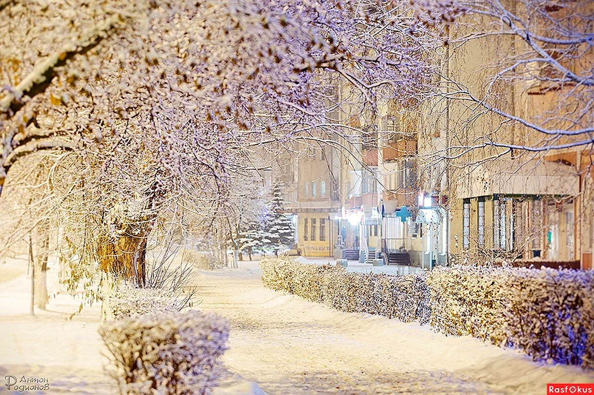 Заснеженный город