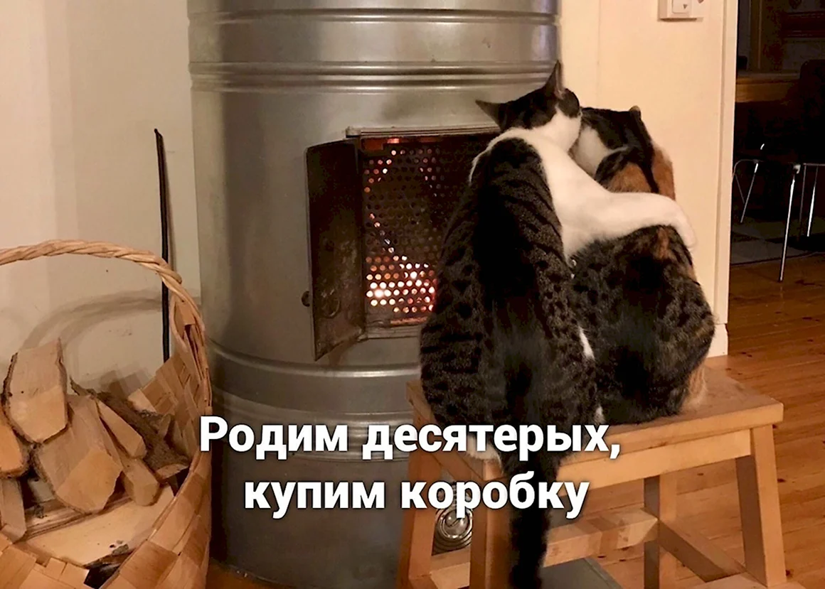 Заведенный человек
