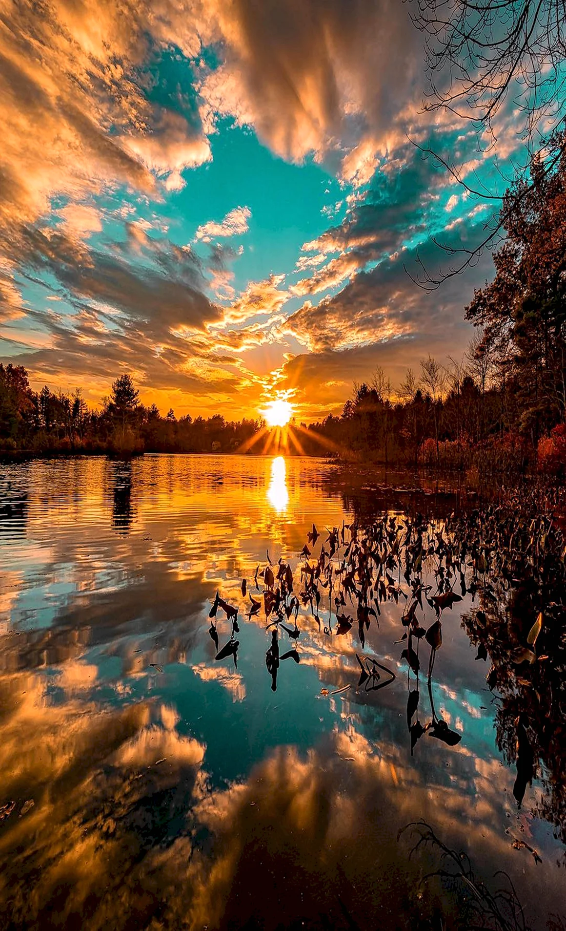 Завораживающая природа