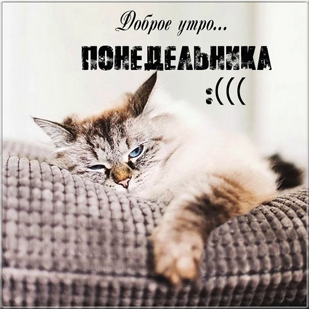 Завтра вторник