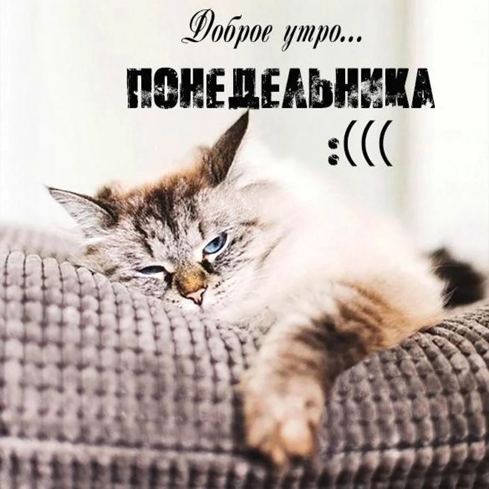 Завтра вторник
