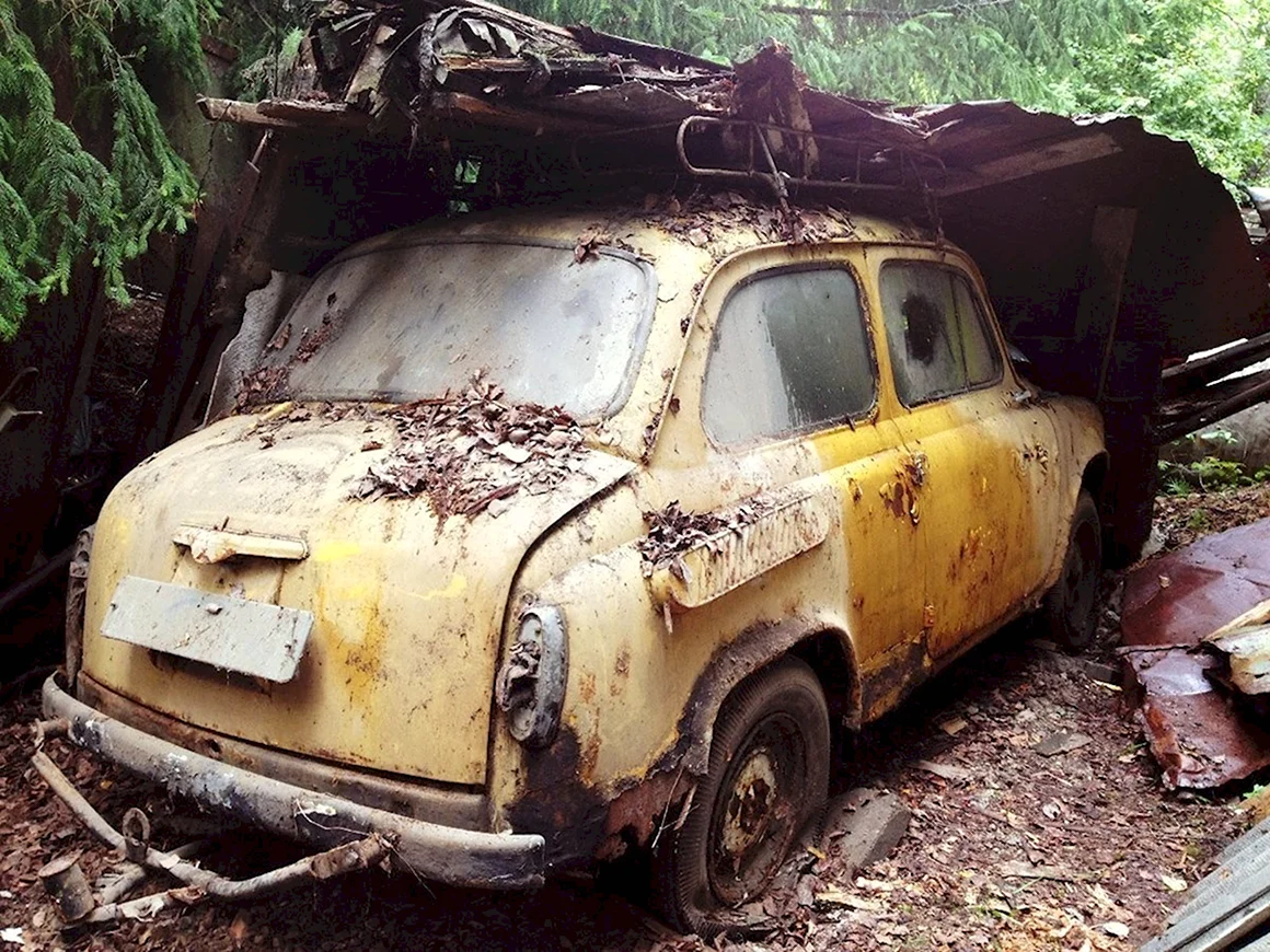ЗАЗ 965 свалка