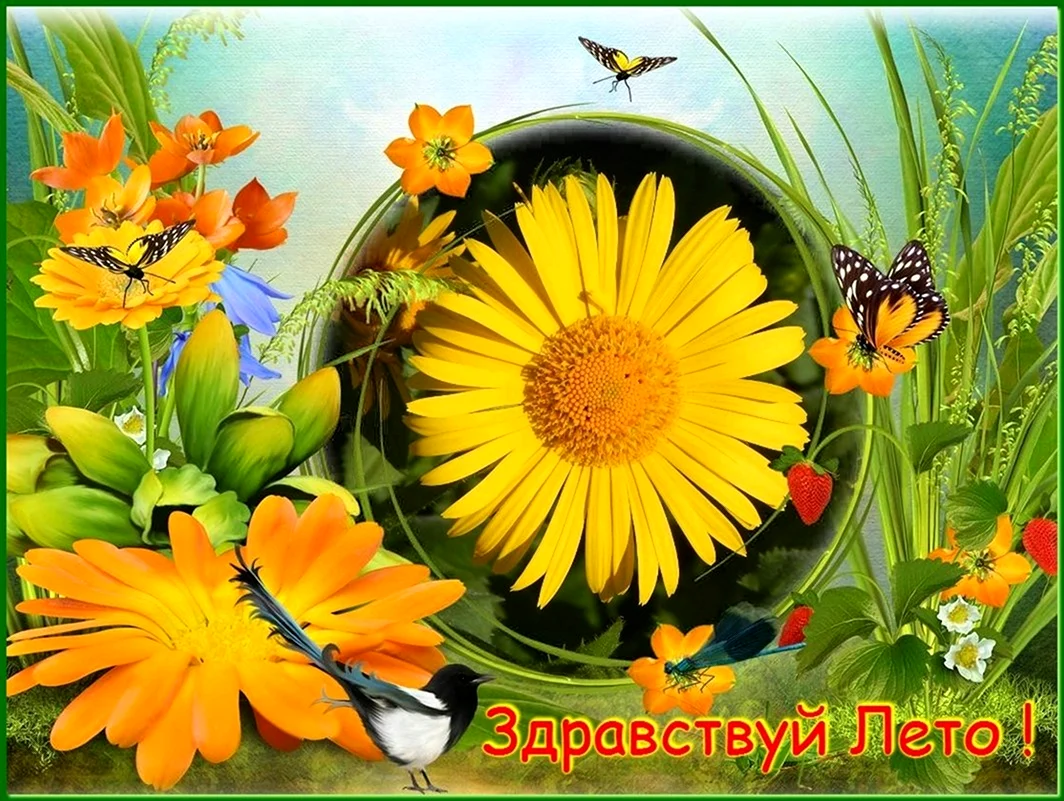 Здравствуй лето