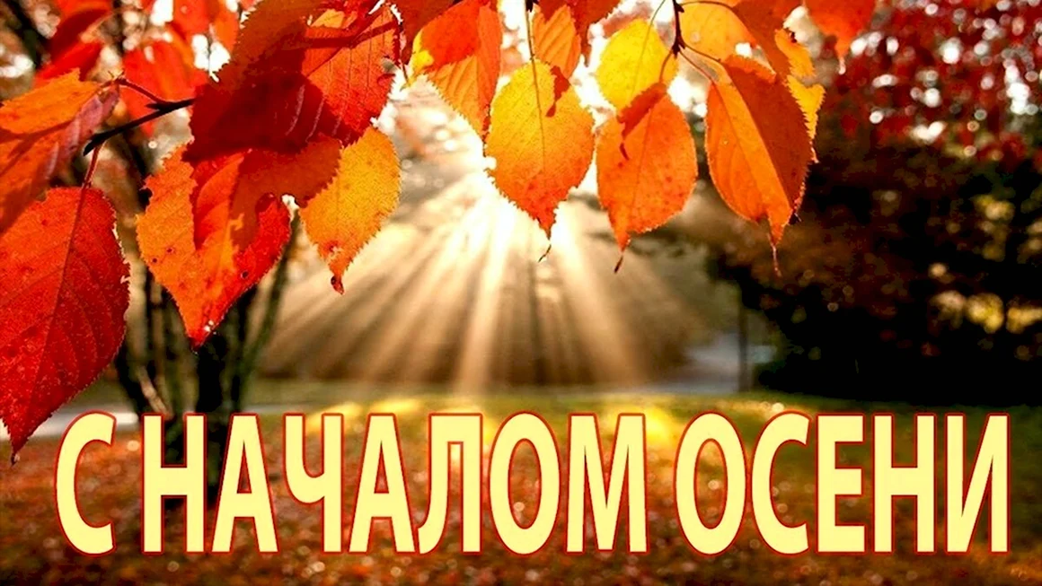 Здравствуй осень