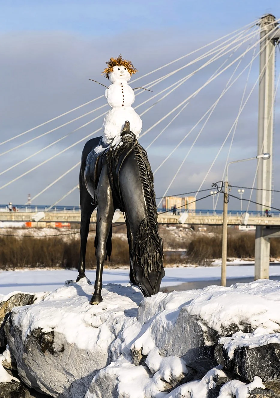 Зебра и конь в Ялте