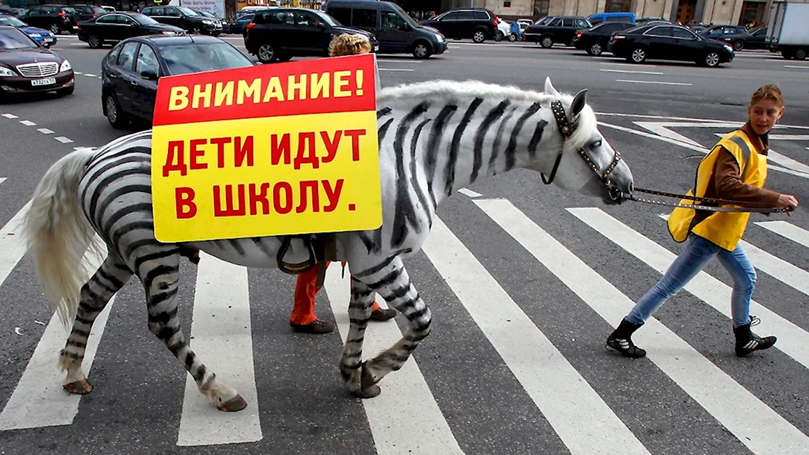 Зебра пешеход