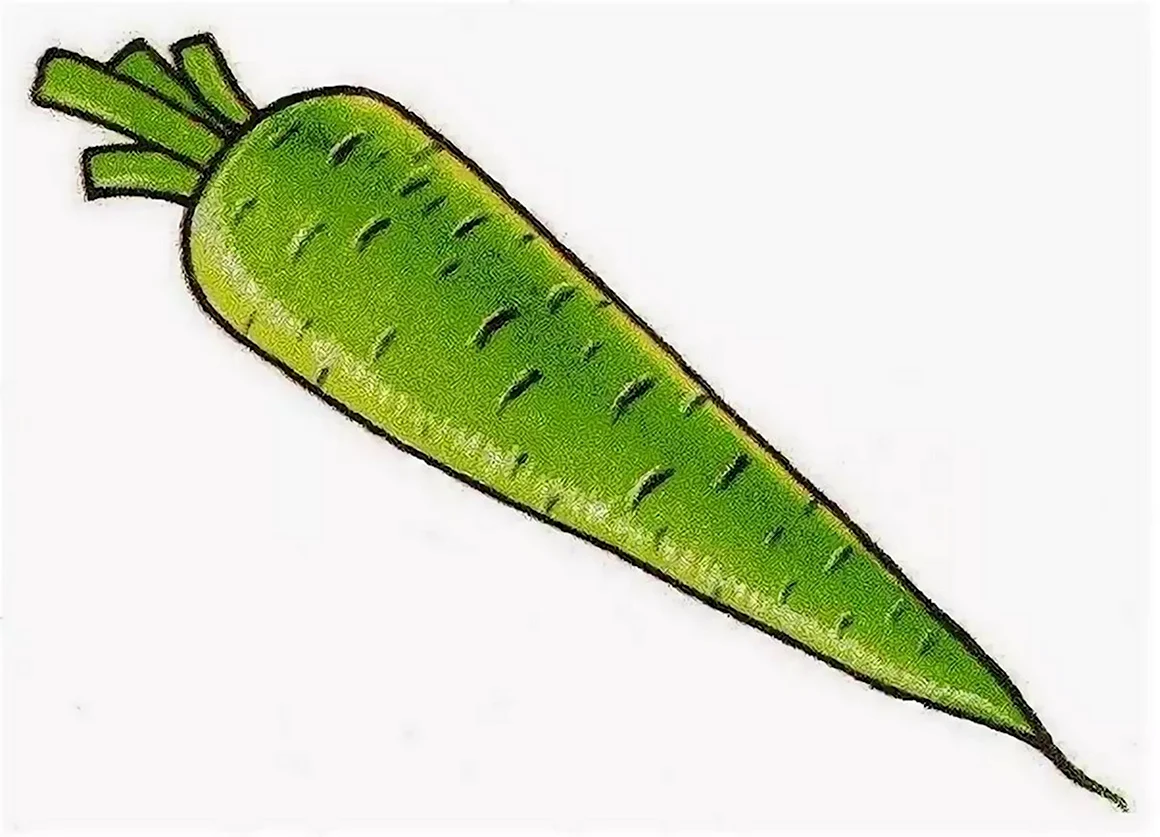 Зеленая морковка