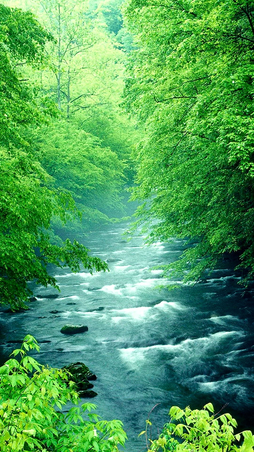 Зеленая природа