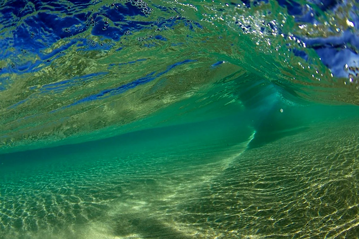Зеленое море