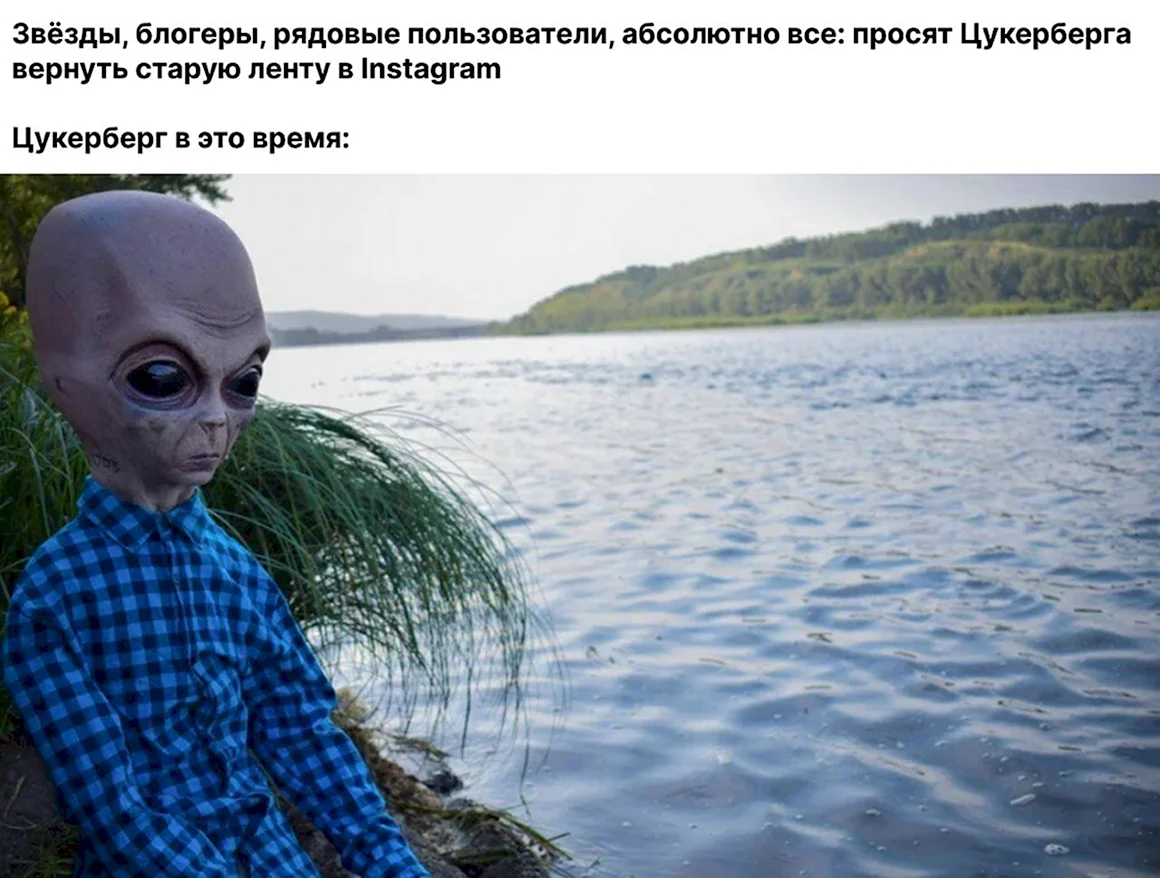 Зема фоч