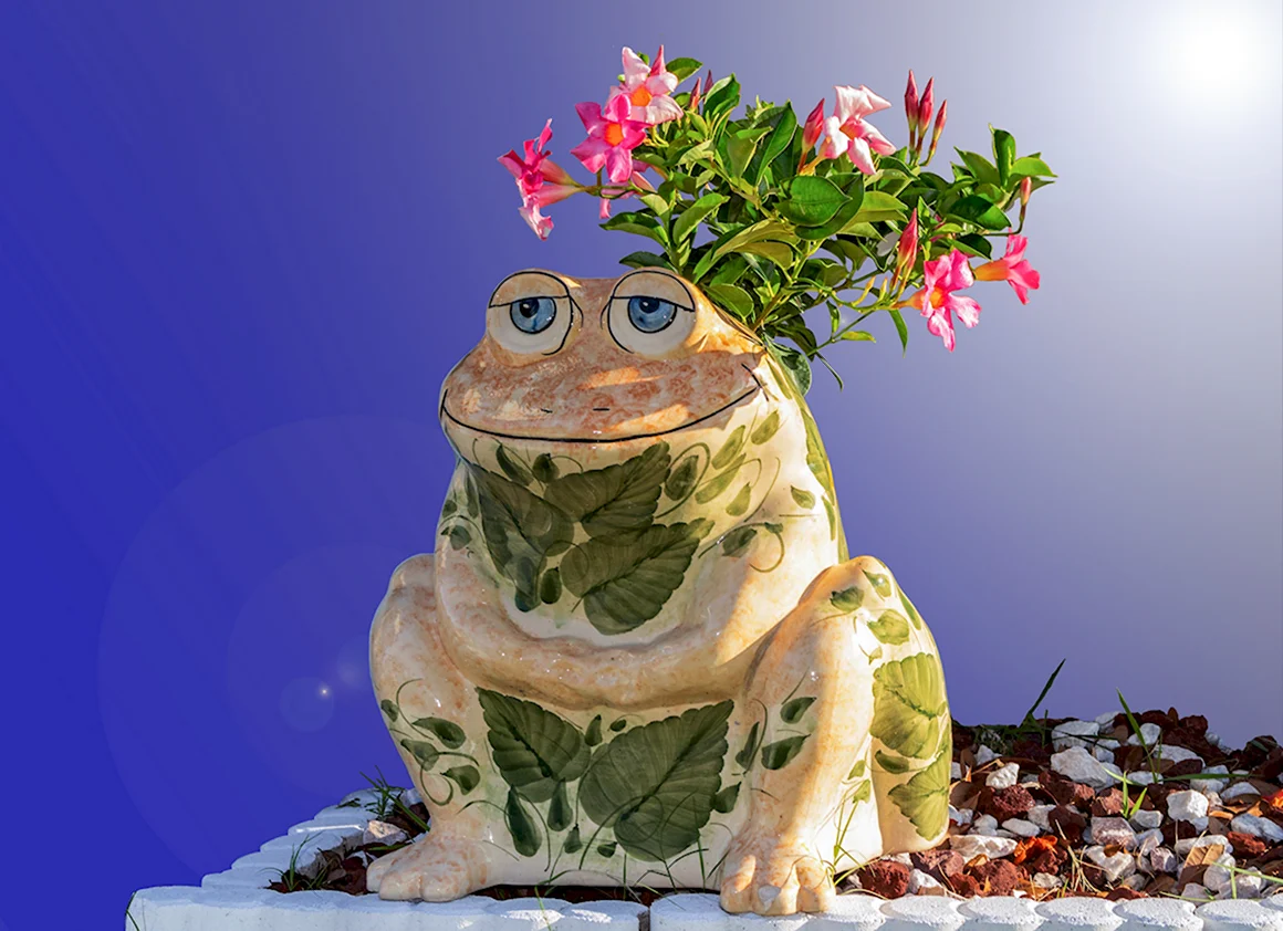 Жаба