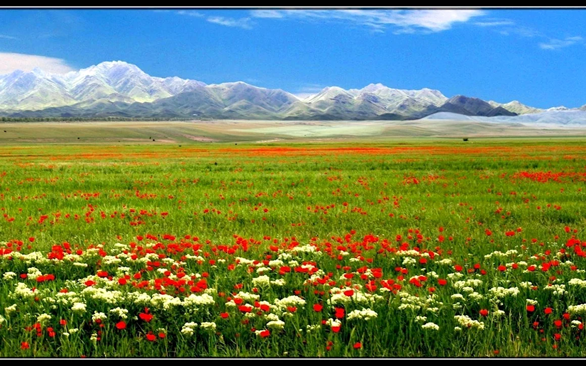 Жайлау Казахстана