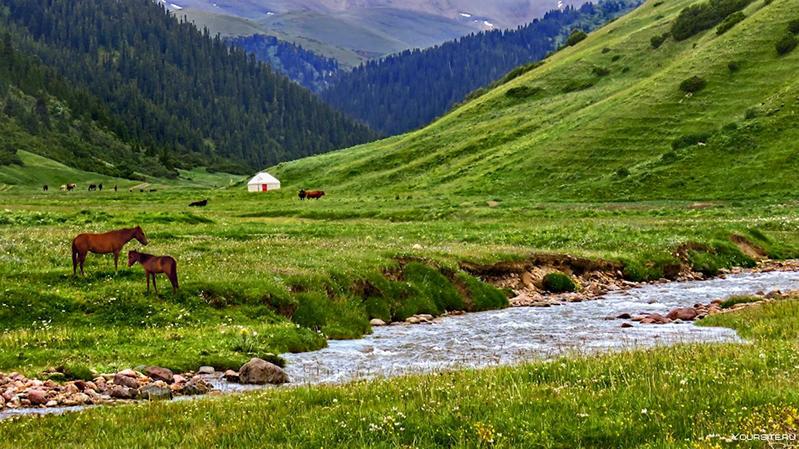 Жайляу Казахстан