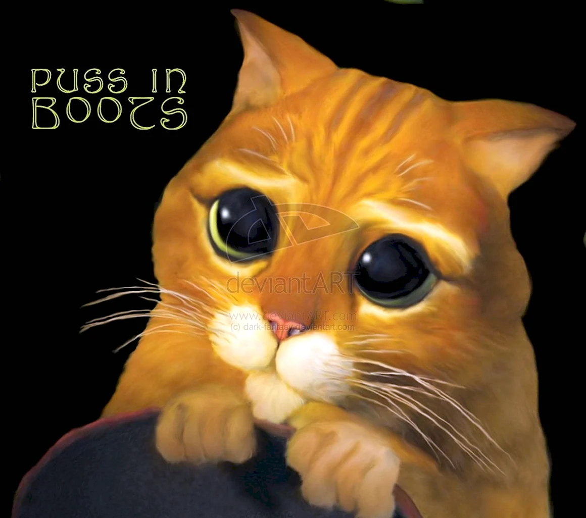 Жалостливый кот