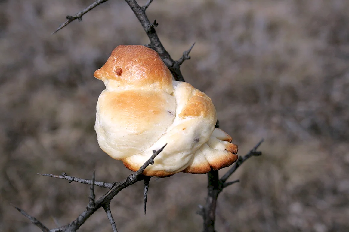 Жаворонки праздник