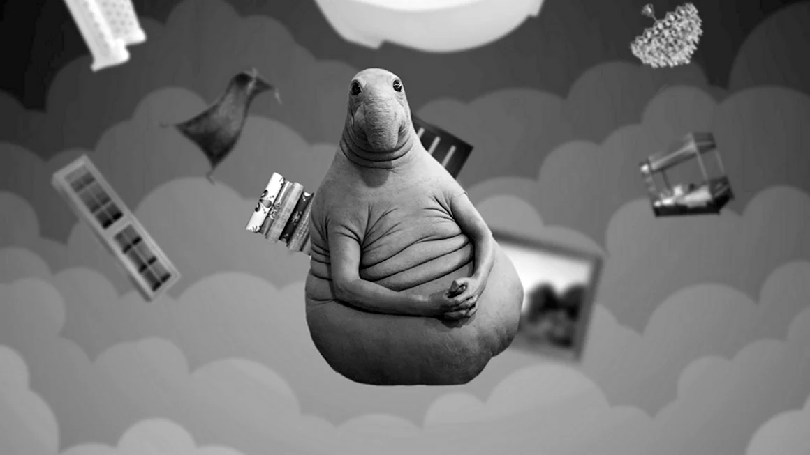 Ждун