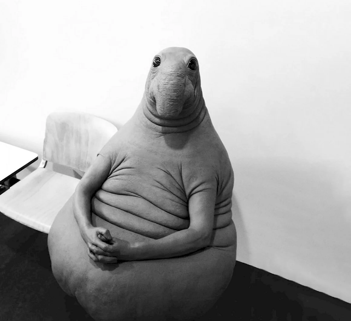 Ждун