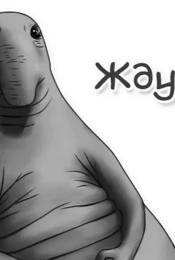Ждун