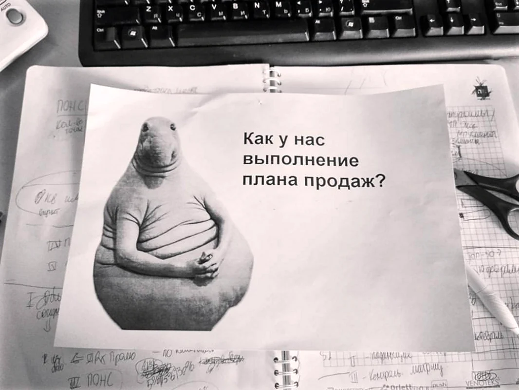 Ждун денег