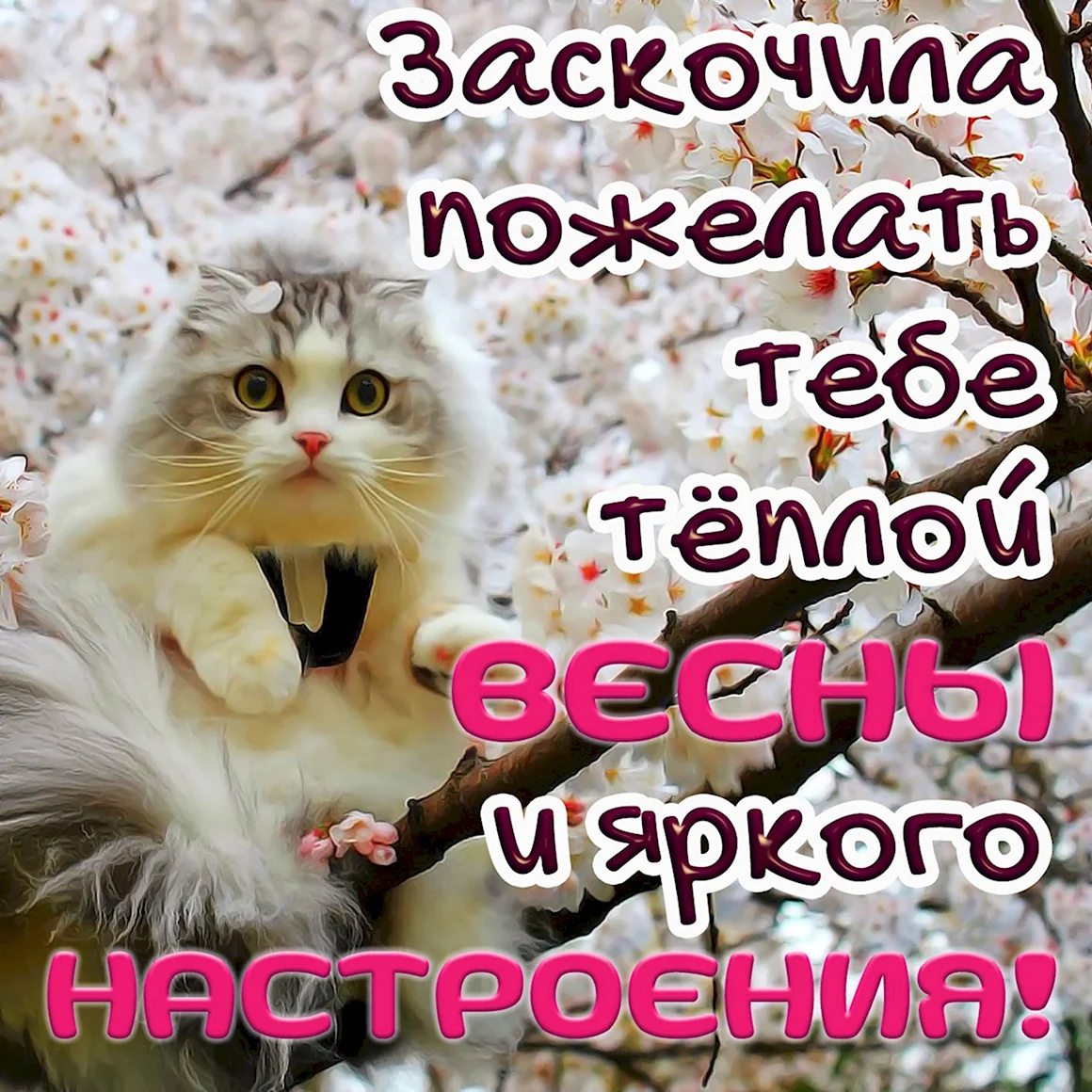 Желаю теплой весны