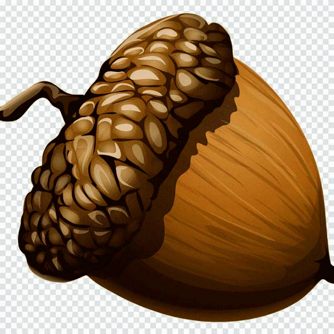 Желудь мульт