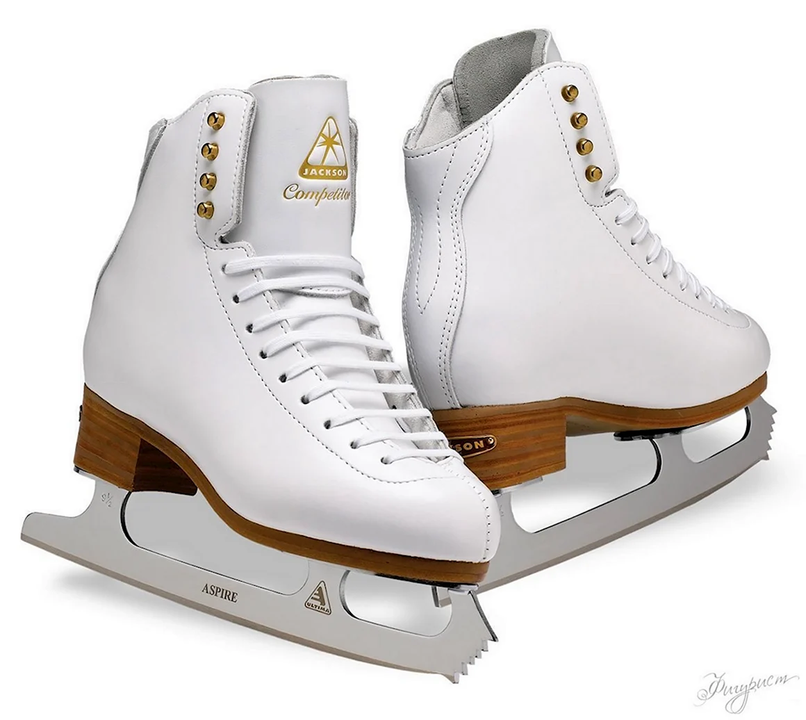 Женские фигурные коньки Jackson js1790 artiste Mark IV