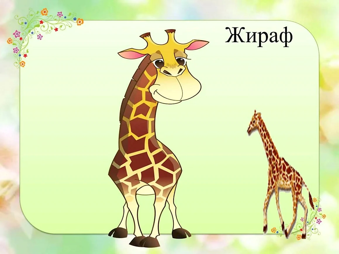 Жираф для презентации для детей