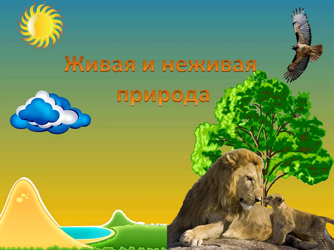 Живая и неживая природа