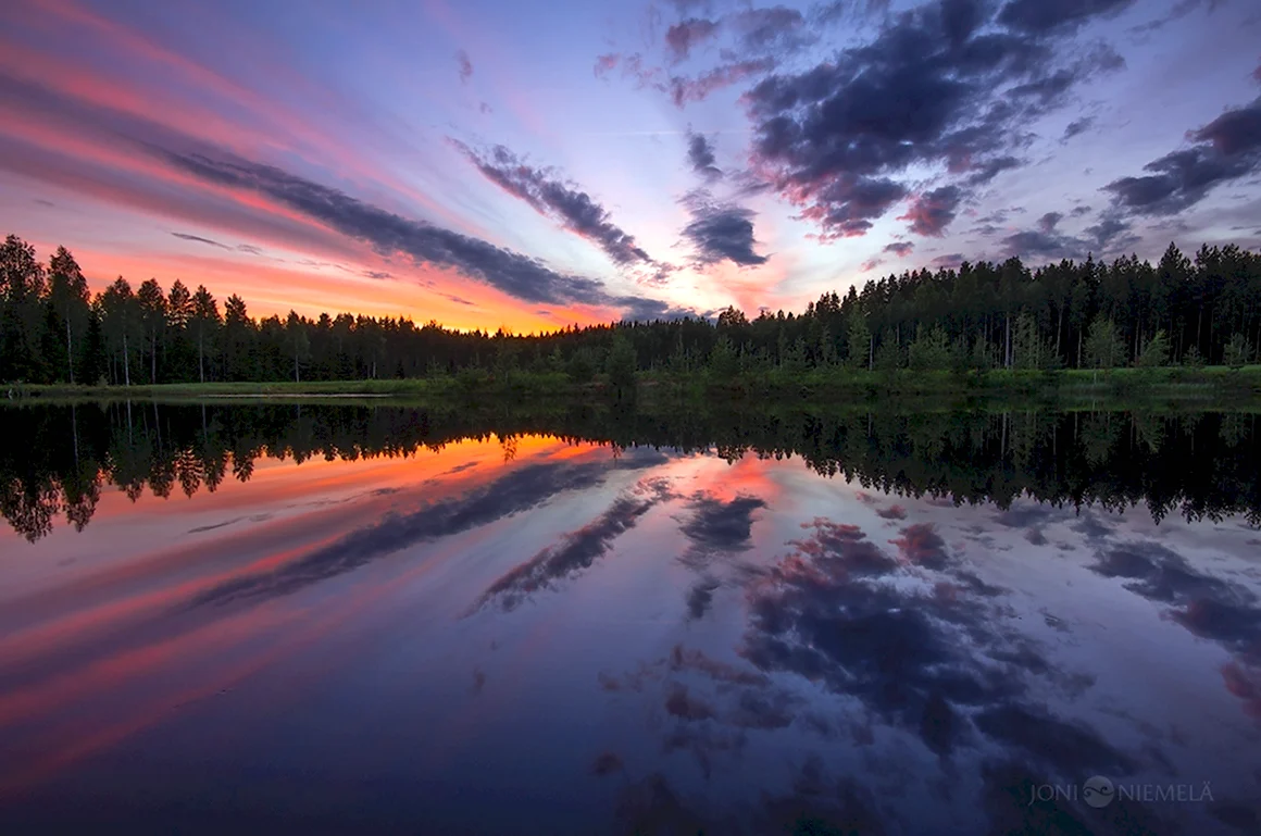 Живая природа