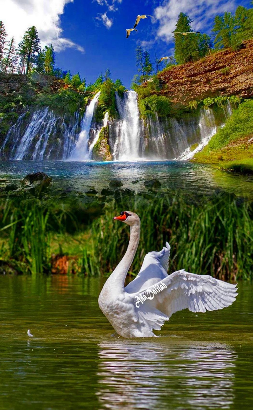 Живая природа