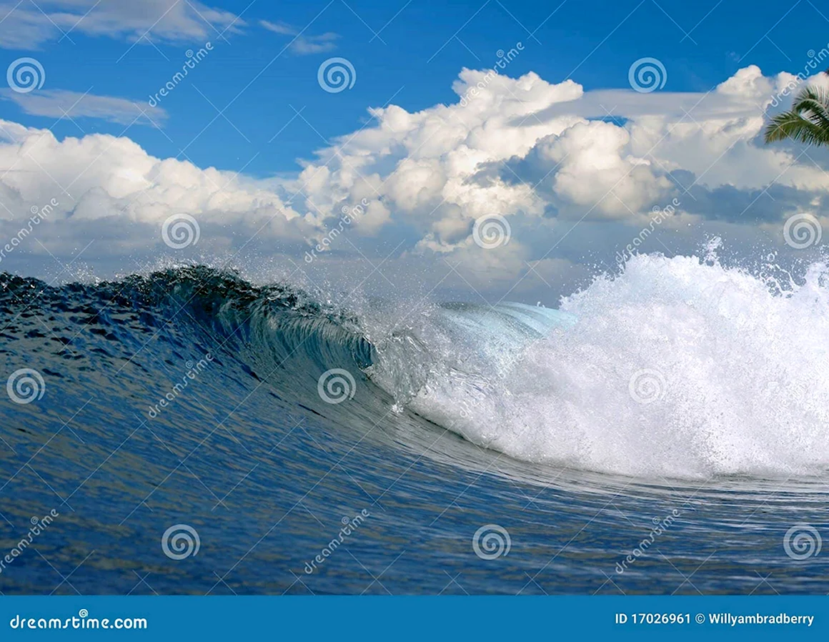 Живое море