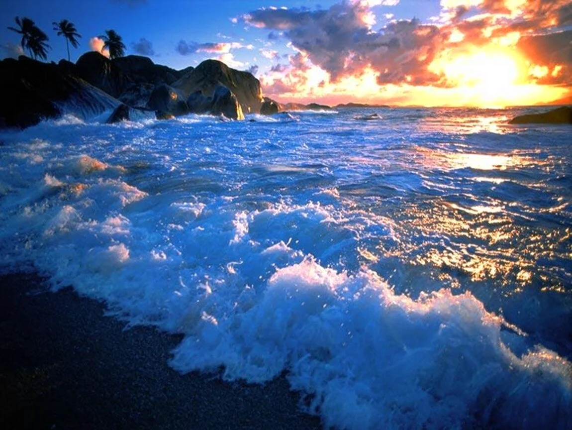 Живое море