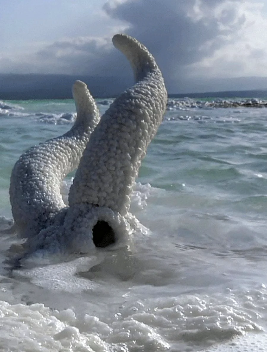Живое море