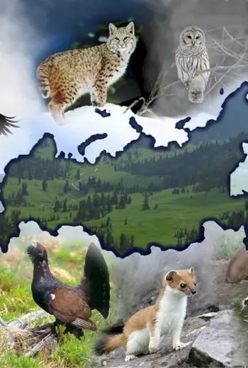 Животные Евразии