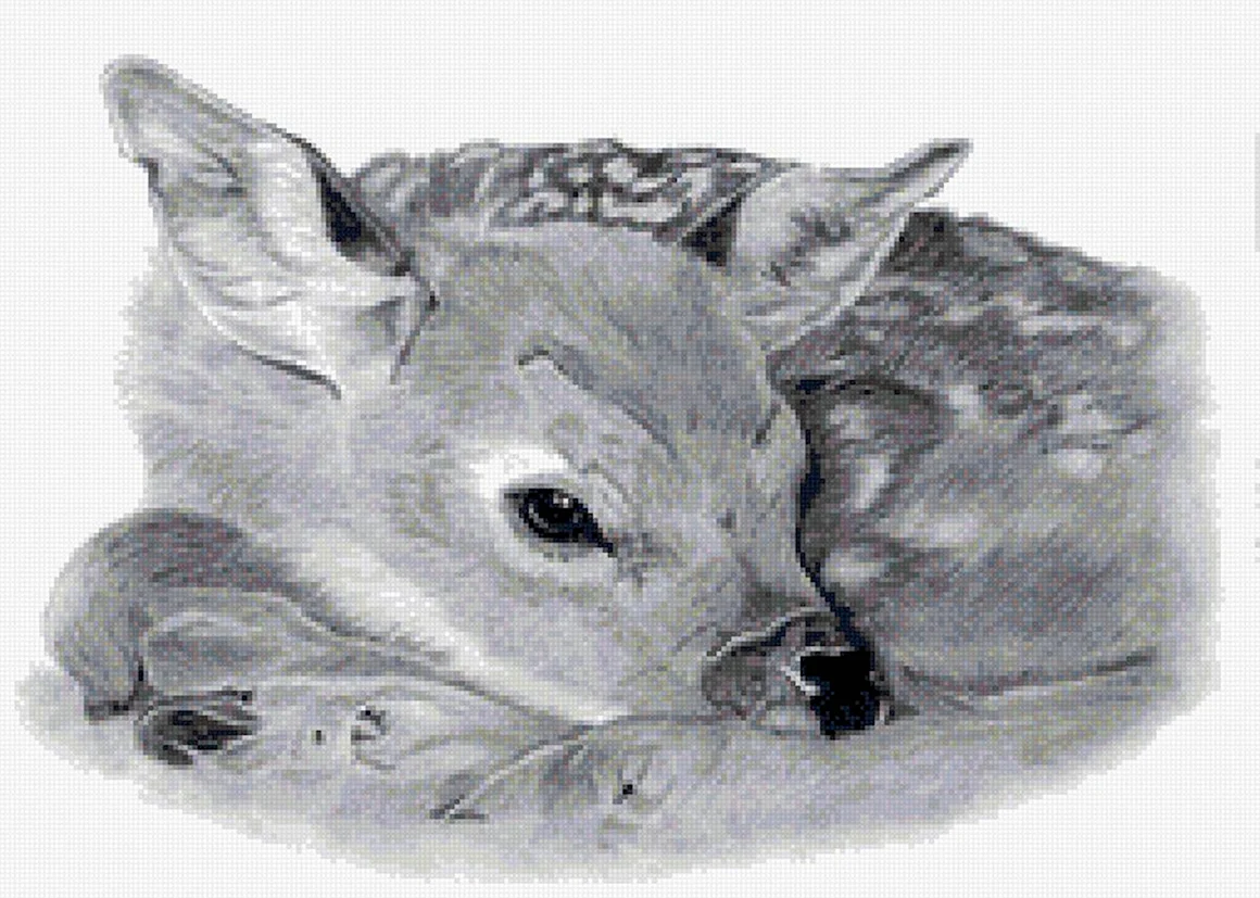 Животные карандашом