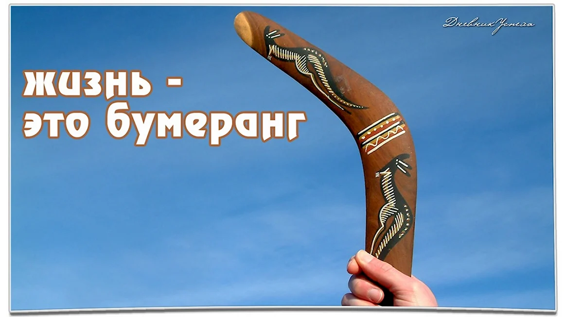 Жизнь Бумеранг