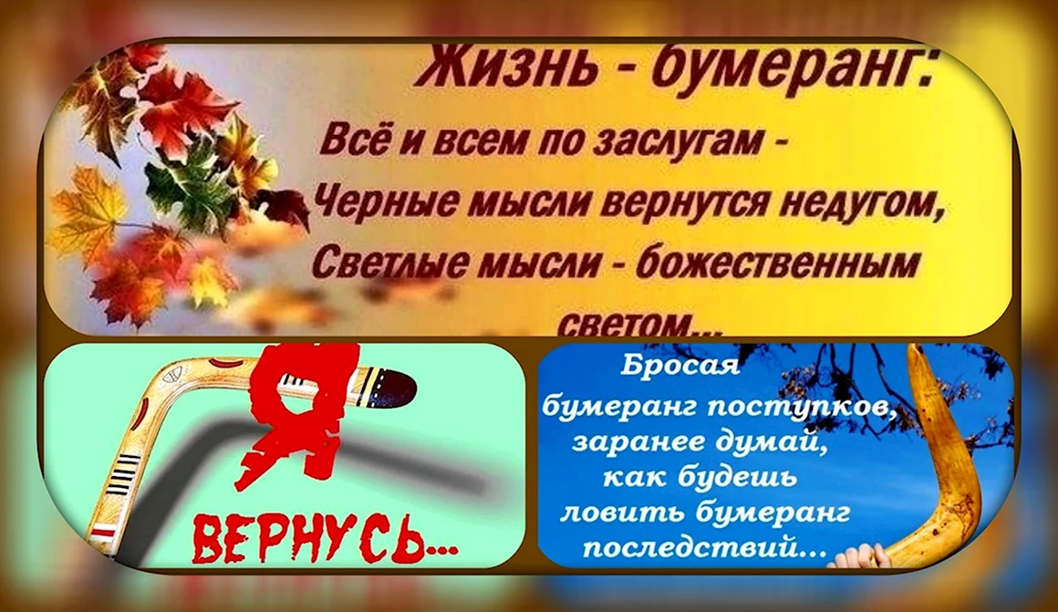 Жизнь Бумеранг