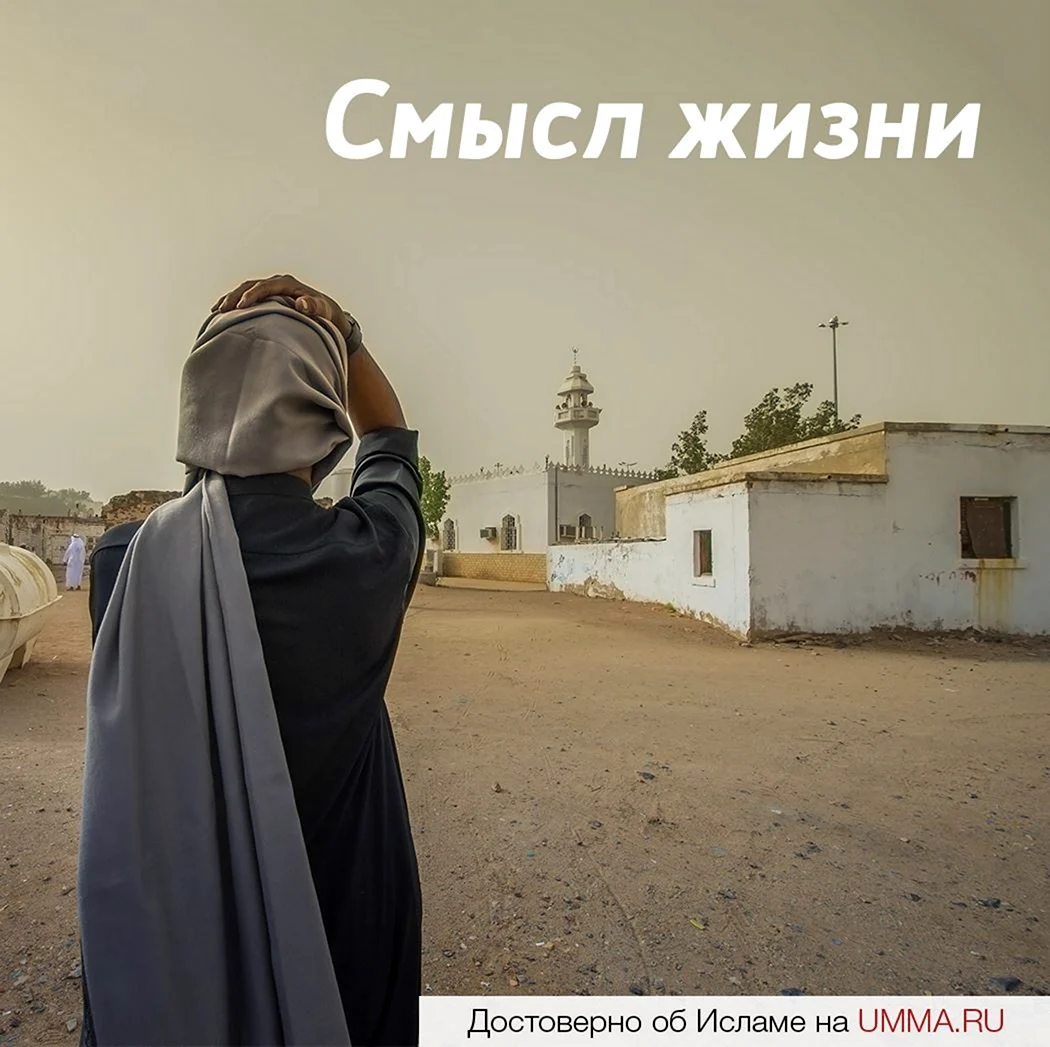Жизнь в Исламе