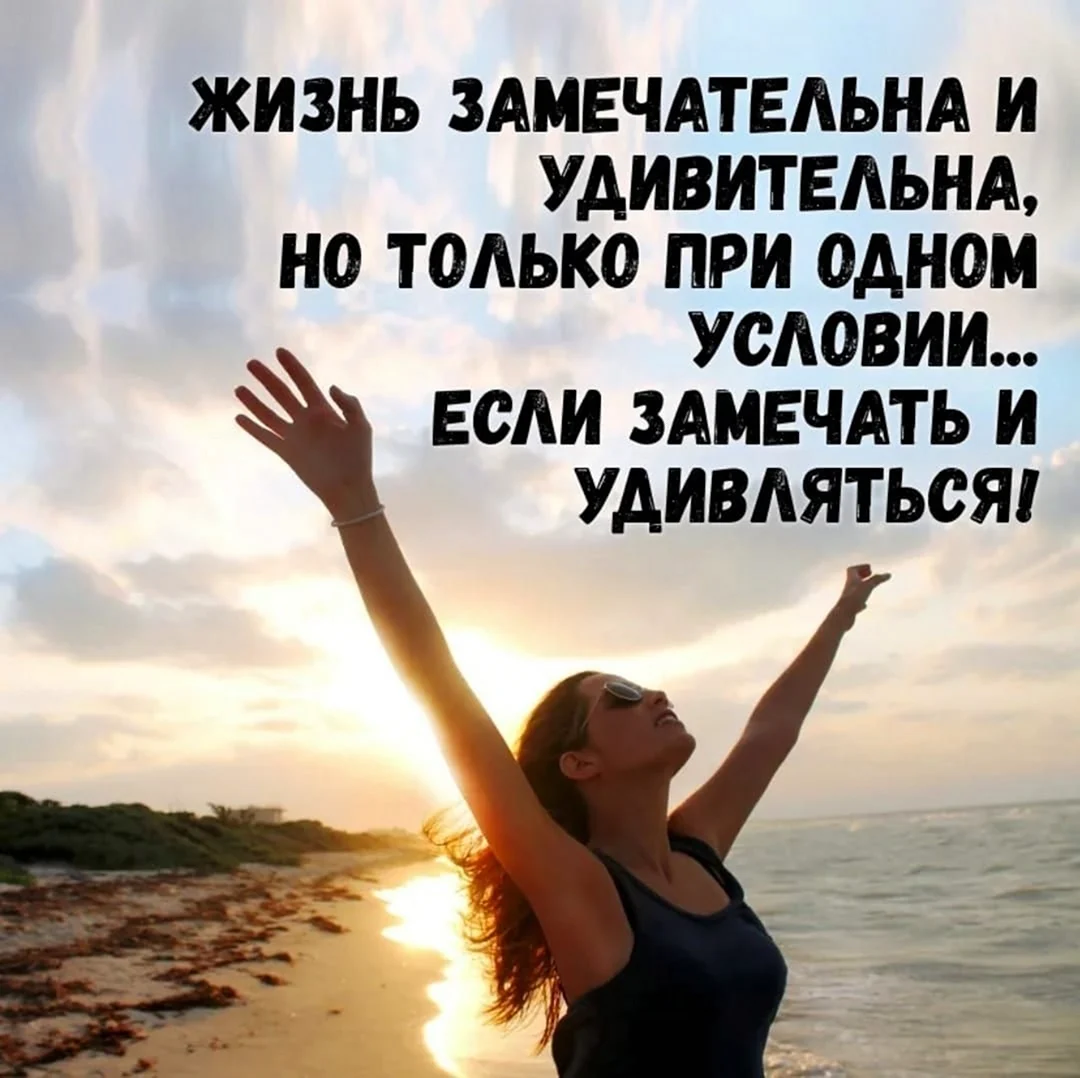 Жизнь замечательна и удивительна